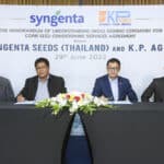 K.P. Agro Group partners with Syngenta To enhance high quality corn seed quality to meet international standard