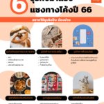 6 ธุรกิจมาแรง แซงทางโค้งปี 66 ใครอยากเริ่มต้นมีธุรกิจสุดปัง แต่ยังคิดไม่ออกว่าจะทำธุรกิจอะไรดี ต้องอ่าน