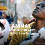 จกพุงหมา-แมว แล้วทำไมหายเหนื่อย! รู้จัก Animal-assisted Therapy เมื่อสัตว์ช่วยบำบัดมนุษย์