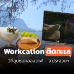 ทำงานพร้อมไปเที่ยว! ชวน Workcation กางโน้ตบุ๊กทำงานริมทะเล