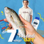 7 โปรดักต์แปรรูปจาก ‘ปลา’ ทำได้ตั้งแต่สแน็ก เสื้อผ้า สกินแคร์ จนถึงยาสีฟัน