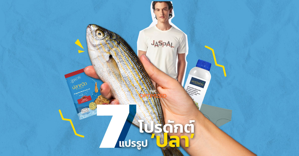 7 โปรดักต์แปรรูปจาก ‘ปลา’ ทำได้ตั้งแต่สแน็ก เสื้อผ้า สกินแคร์ จนถึงยาสีฟัน