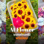 At Flower ธุรกิจดอกไม้กินได้ จาก ‘สวน’ สู่ ‘จาน’ ที่เบ่งบานในใจทั้งคนปลูกและคนกิน