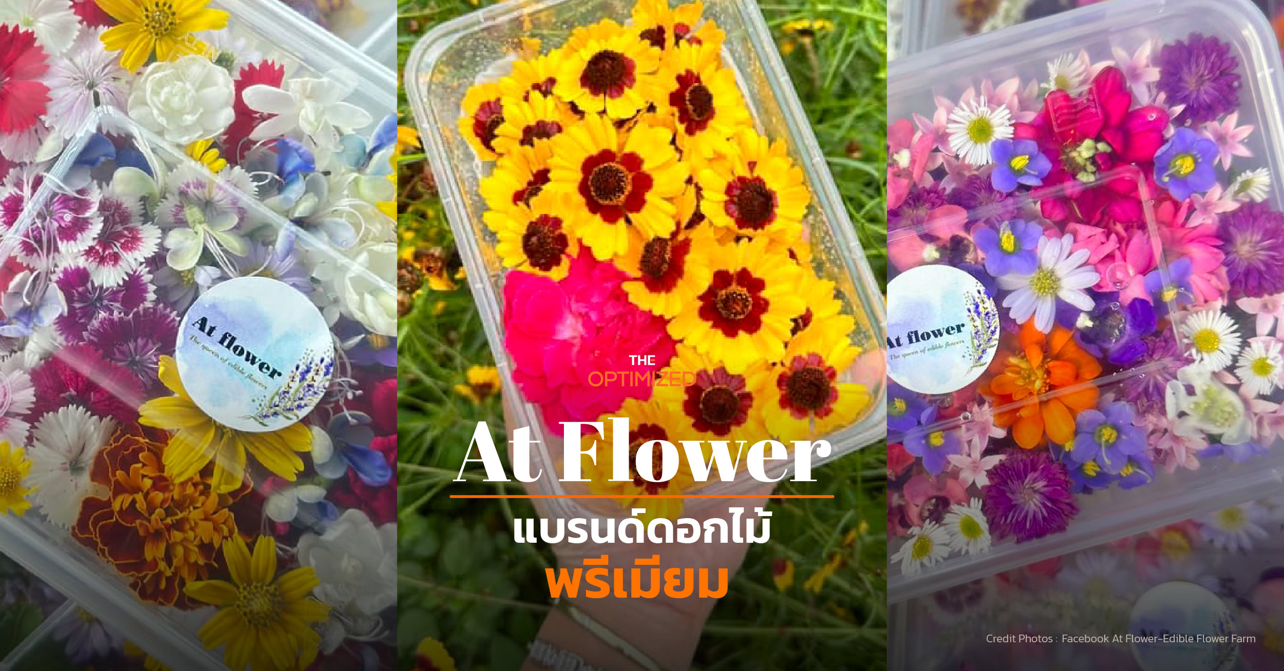 At Flower ธุรกิจดอกไม้กินได้ จาก ‘สวน’ สู่ ‘จาน’ ที่เบ่งบานในใจทั้งคนปลูกและคนกิน