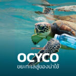 เปลี่ยนขยะทะเลเป็นของใช้ ‘Ocyco’ แบรนด์ไทยแนวคิดเศรษฐกิจหมุนเวียน