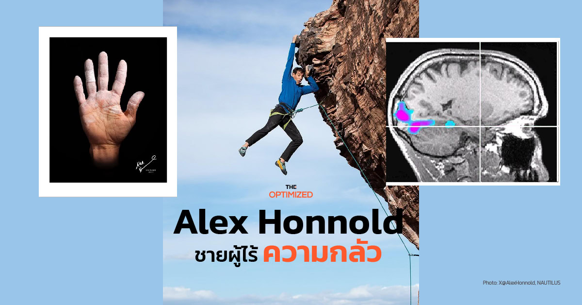 บทเรียนจากมือและสมองของ Alex Honnold นักปีนผาผู้ไม่มีความกลัว