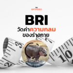 BRI ดัชนีความกลม ตัวชี้วัดสุขภาพแบบใหม่ที่ว่ากันว่าแม่นกว่า BMI  